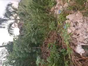 Plot for Sale at Atasumansu