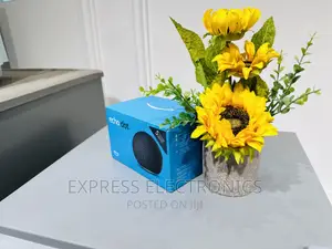 Wireless Streaming Bluetooth Speaker ECHO DOT 5 Gen
