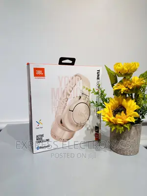 Portable Beat JBL Tune 760 Headphones