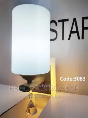 Wall Light Lamp