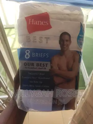 Hanes Best Briefs
