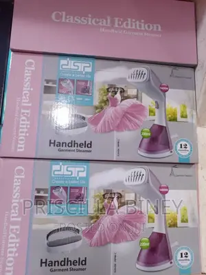 Handheld Steam Iron