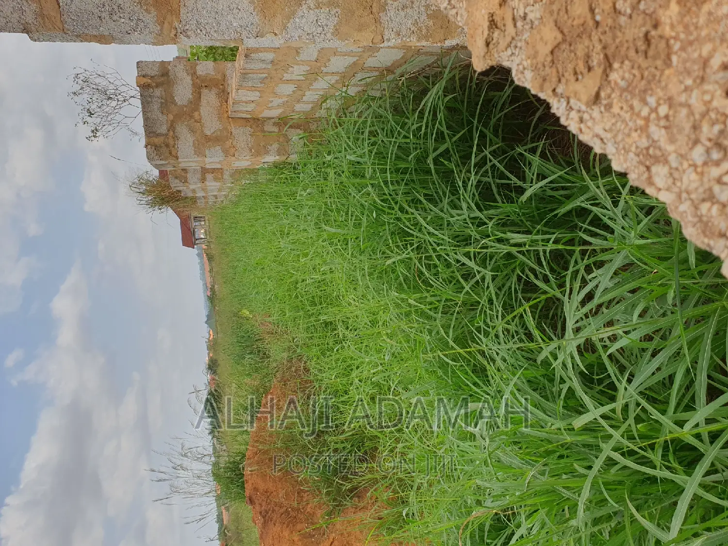 Nine Plots for Sale at Darban New Site