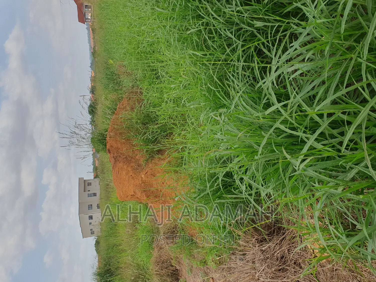 Nine Plots for Sale at Darban New Site