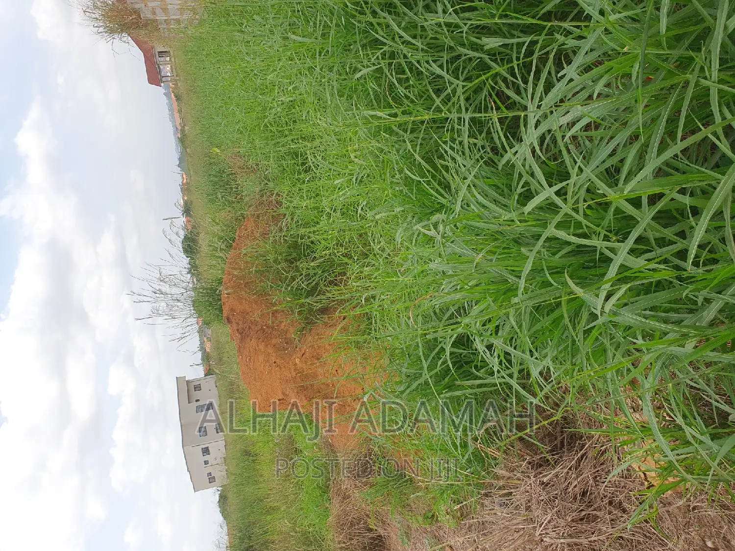 Nine Plots for Sale at Darban New Site