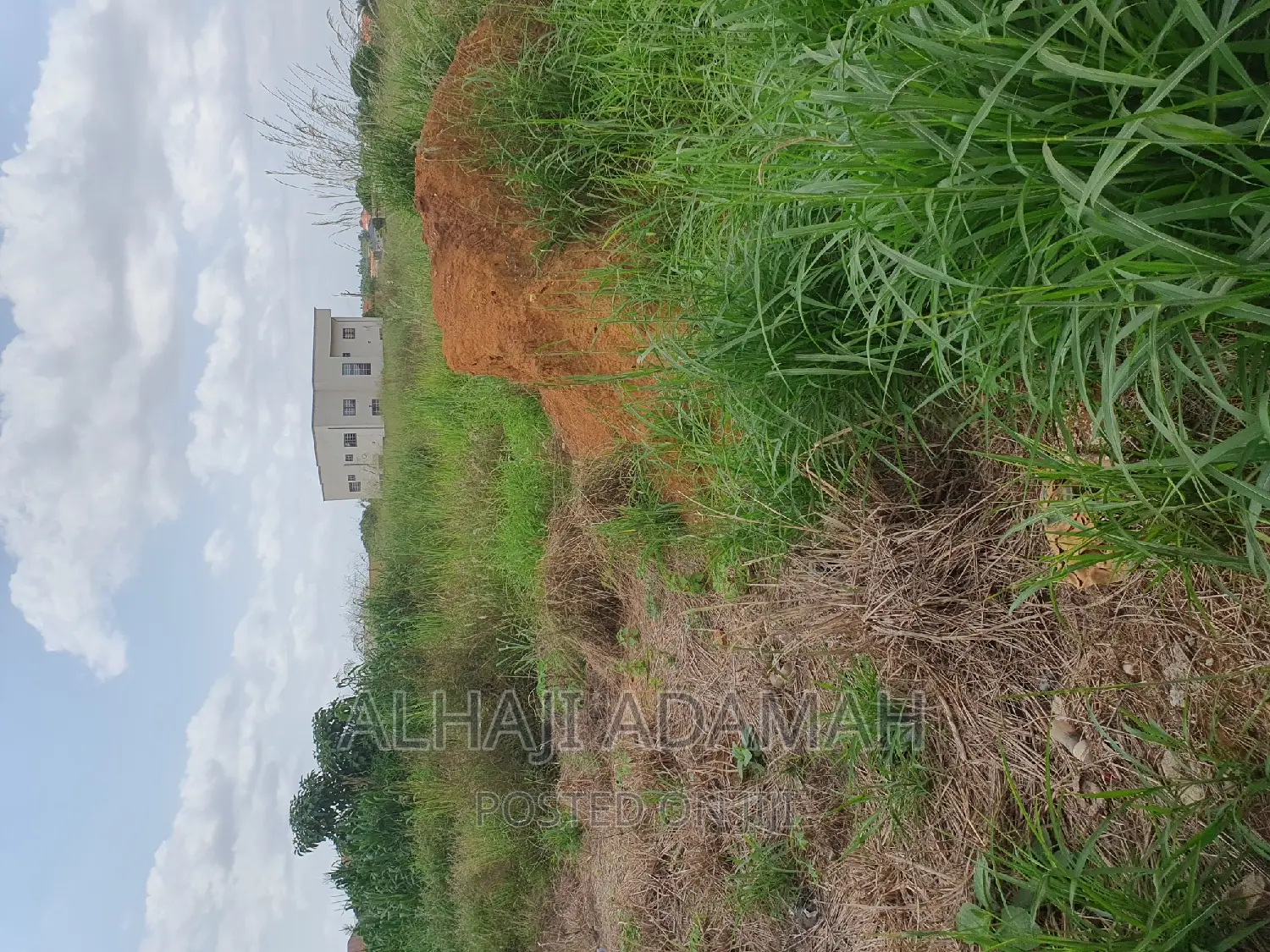 Nine Plots for Sale at Darban New Site