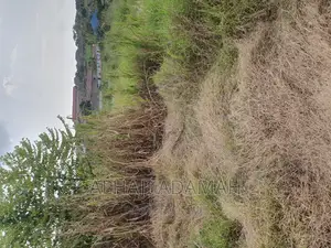 Plot for Sale at Kwadaso Ohwimase Hill Top