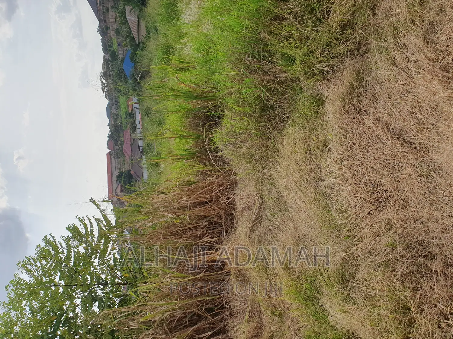 Plot for Sale at Kwadaso Ohwimase Hill Top