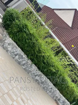 Vertical Garden/Green Wall