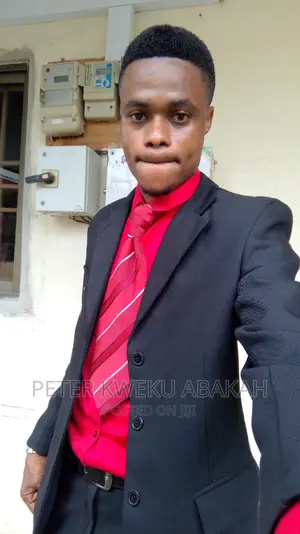 Accountant