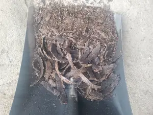 Palm Kernel Cake