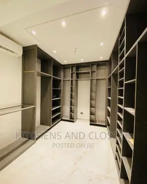 Modern Walk in Closets