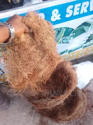 Treated Coconut Fiber With Bio Enzymes.