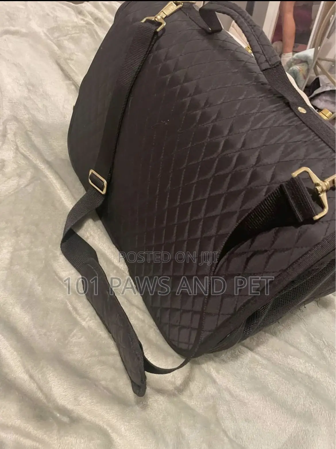 Designer Pet Carrier