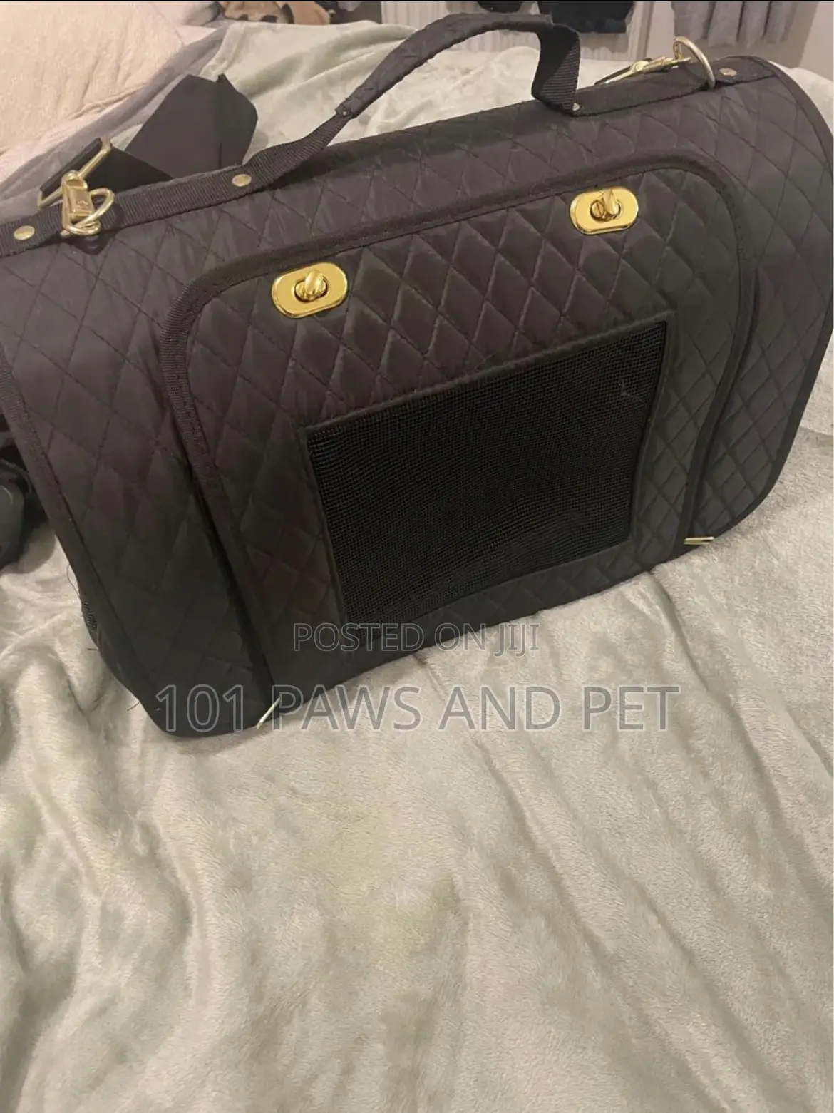 Designer Pet Carrier