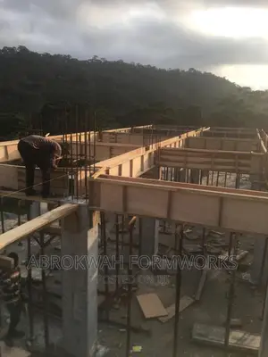 Scaffold/Formworks/Pillars/Column/Decking/Lift