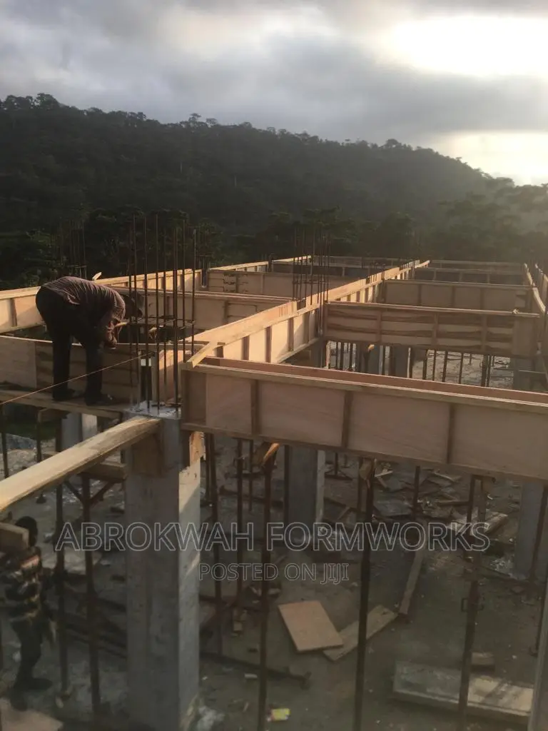 Scaffold/Formworks/Pillars/Column/Decking/Lift