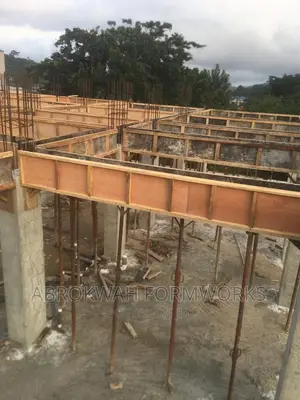 Scaffold/Formworks/Pillars/Column/Decking/Lift