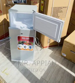 Effective Reliable Zara12TM Electric Refrigerator(Silver)
