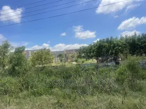 Do You Have a Car and You Want to Swap It With the Land