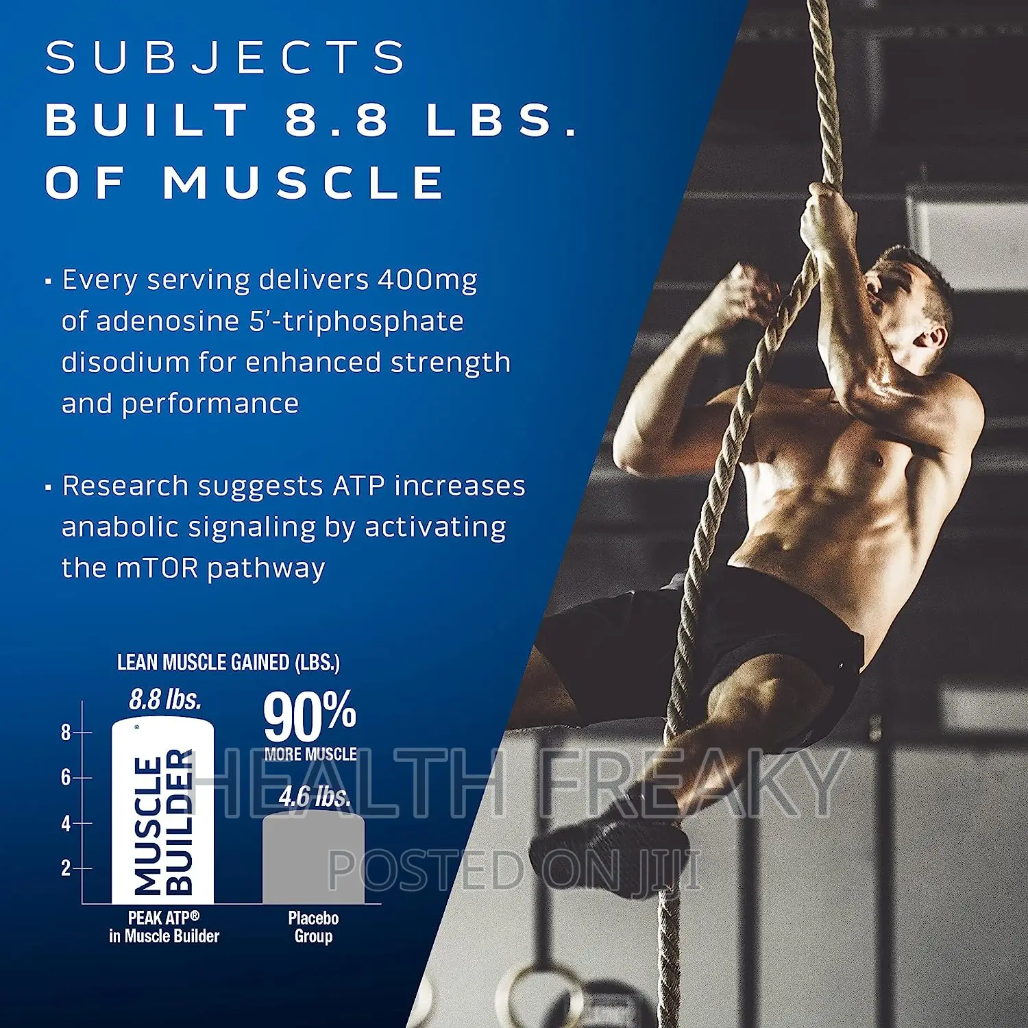 Muscletech Muscle Builder Thick Muscles Enhanced Strength