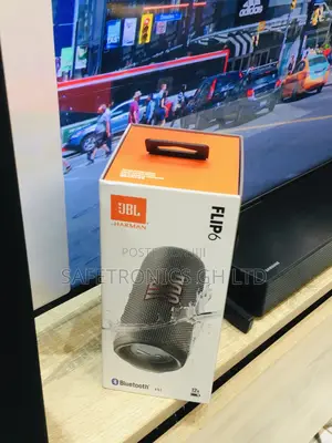 Gray Electric Bluetooth Wireless JBL Flip 6 Speaker