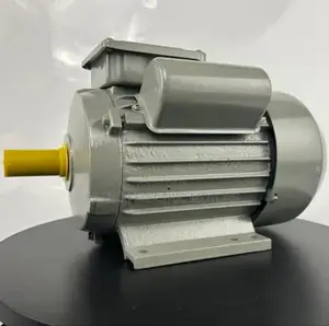 2hp (1.5kw) Single Phase Electric Motor