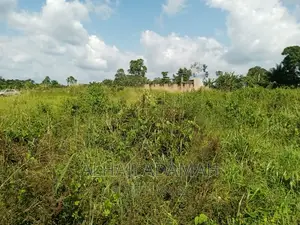 Full Plot for Sale at Santasi Darko