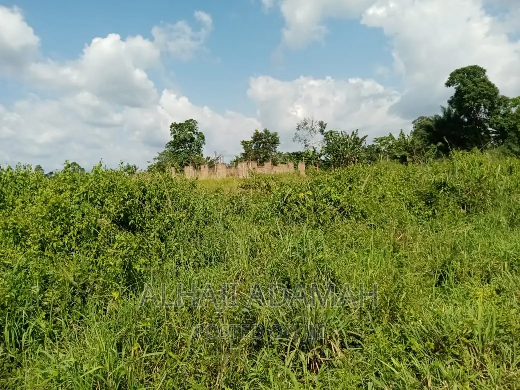 Full Plot for Sale at Santasi Darko