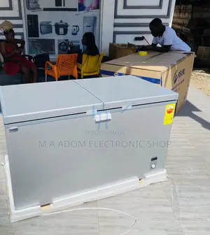 Highly Energy Saving Nasco Nas500fc-Dd 2 Door Freezer 