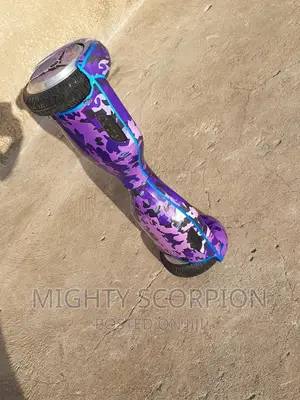 Hoverboard Charger AND SCOOTER Charger