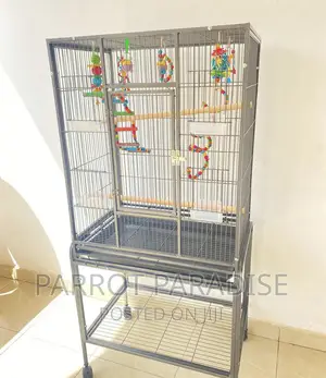 Big Parrot Cage With Toys