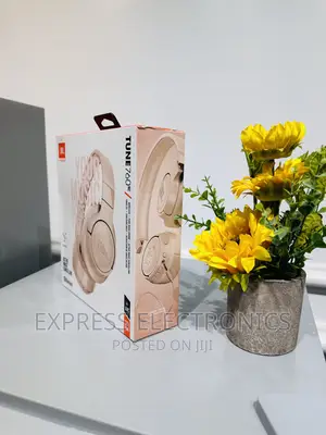 Very Affordable JBL 760 Headphone