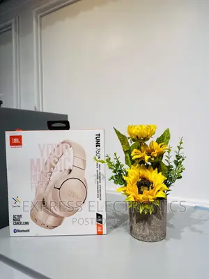Grab Your Favorite JBL 760 Headphone