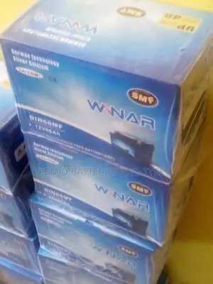 15 Plates Winar Car Battery + Free Delivery