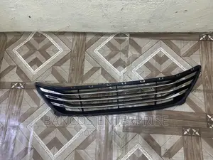 Hyundai Elantra 2014-2015 Bumper Grille