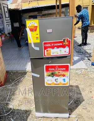 Well Designed Zara 20BF Double Door Electric Refrigerator.