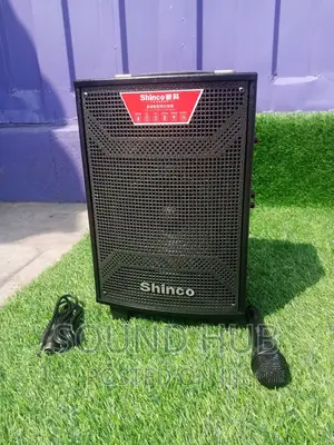 Shinco 10 Inch Professional Audio System