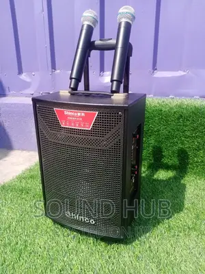 Shinco 10 Inch Portable Speaker With Wireless Microphone