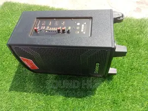 Shinco 10 Inch Portable Speaker With Wireless Microphone