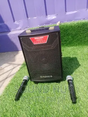 Shinco 10 Inch Portable Speaker With Wireless Microphone