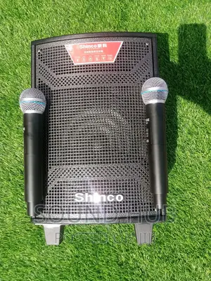 Shinco 10 Inch Portable Speaker With Wireless Microphone