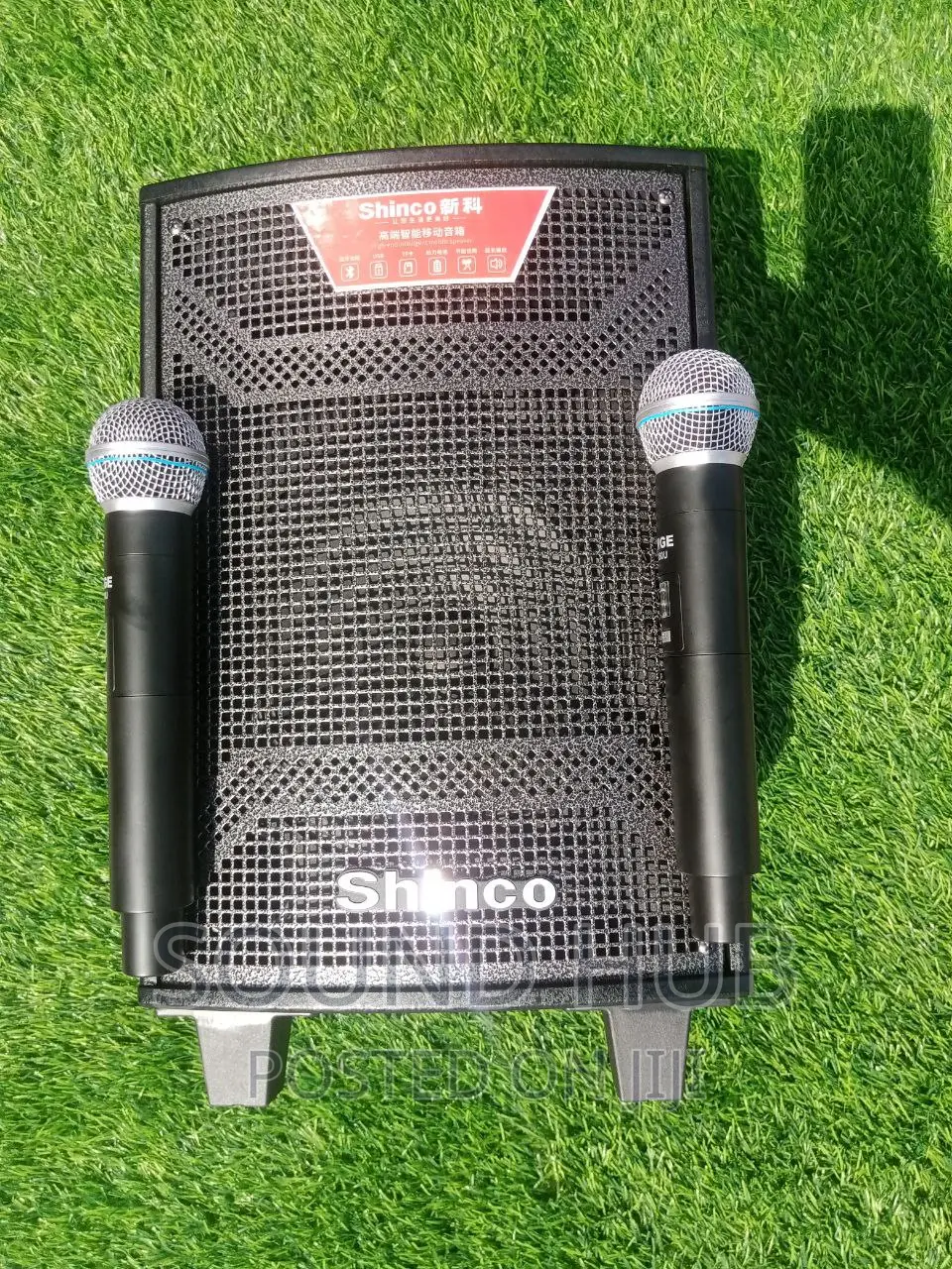 Shinco 10 Inch Portable Speaker With Wireless Microphone