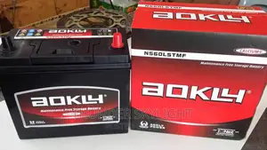 13 Plates Battery 45 Ah For Honda And Other Cars Aokly