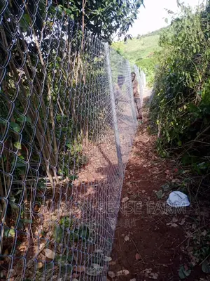 40ft Chain Link Fencing