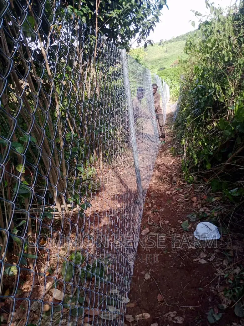 40ft Chain Link Fencing
