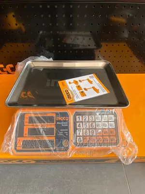 Electronic Scale 30kg - Hesa3303