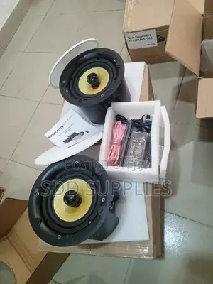 Dual Cone High End Wifi Bluetooth Ceiling Speaker Wit Remote
