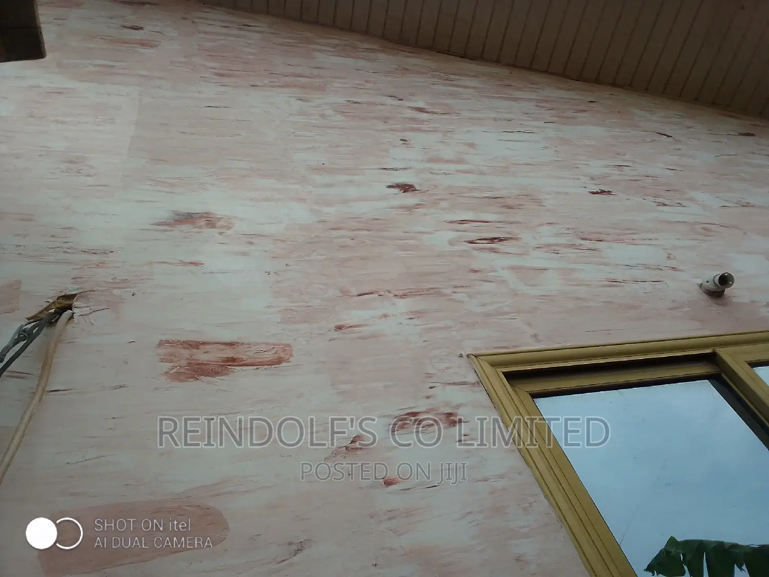 Professional Painting/ Skimming/Pop