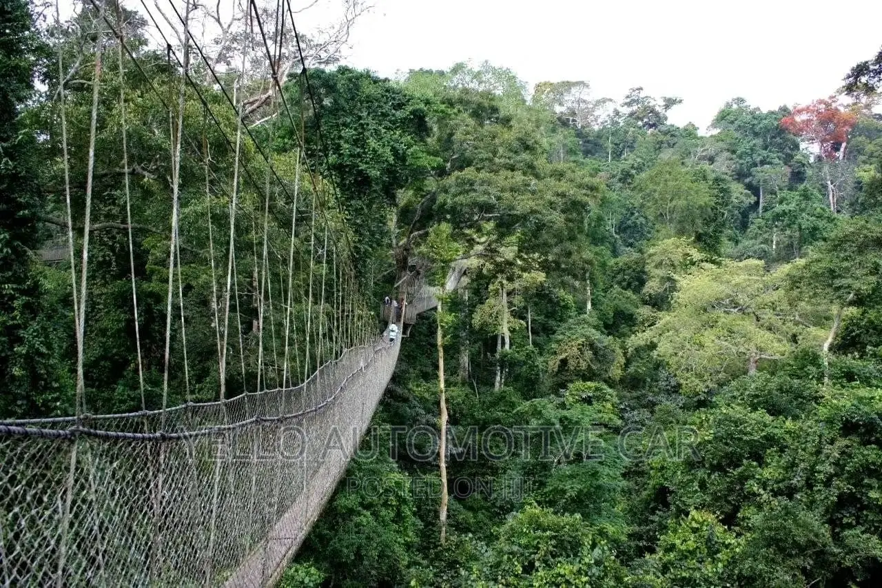 Travel And Tour Within Ghana